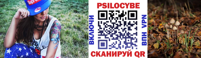 Галлюциногенные грибы прущие грибы  Краснознаменск 